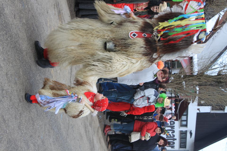 FAŠENK CIRKOVCE 2010 - foto povečava