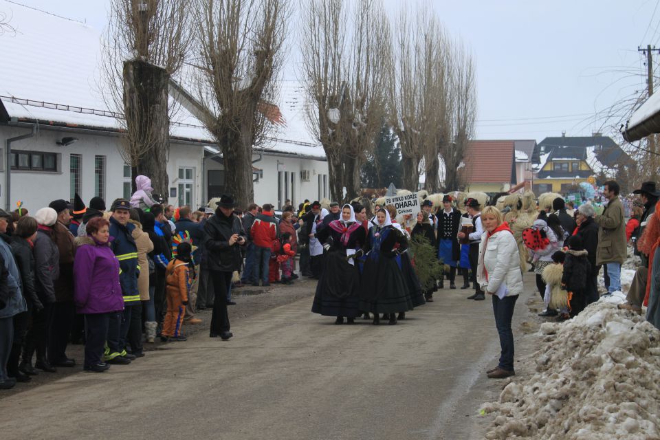 FAŠENK CIRKOVCE 2010 - foto povečava