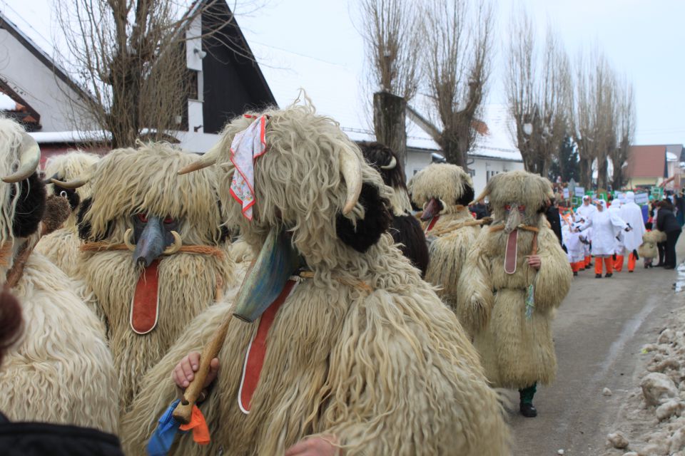 FAŠENK CIRKOVCE 2010 - foto povečava