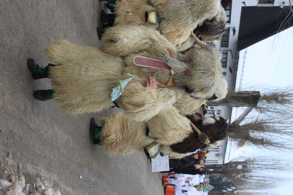 FAŠENK CIRKOVCE 2010 - foto povečava