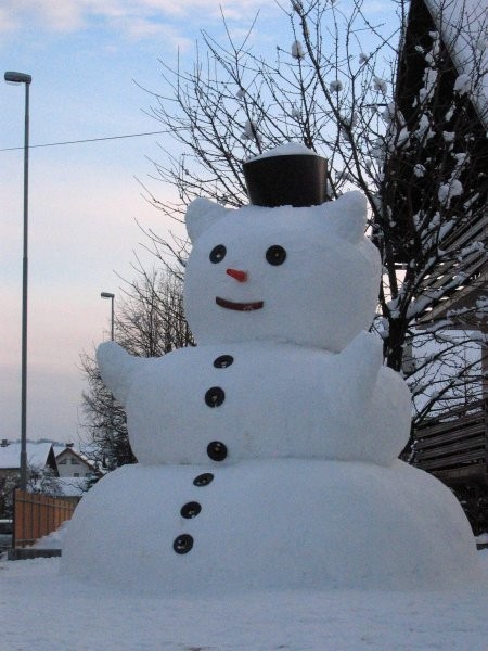 Snežak - foto