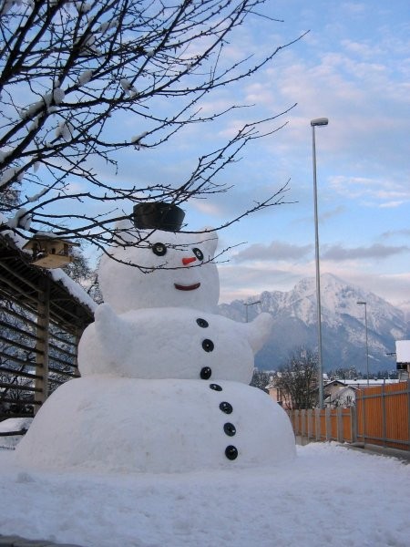 Snežak - foto povečava