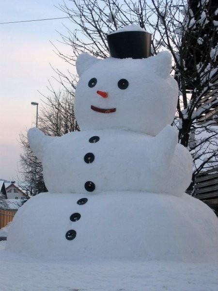 Snežak - foto