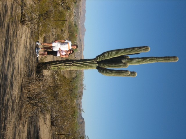 Zeelooo veliki kaktusi...