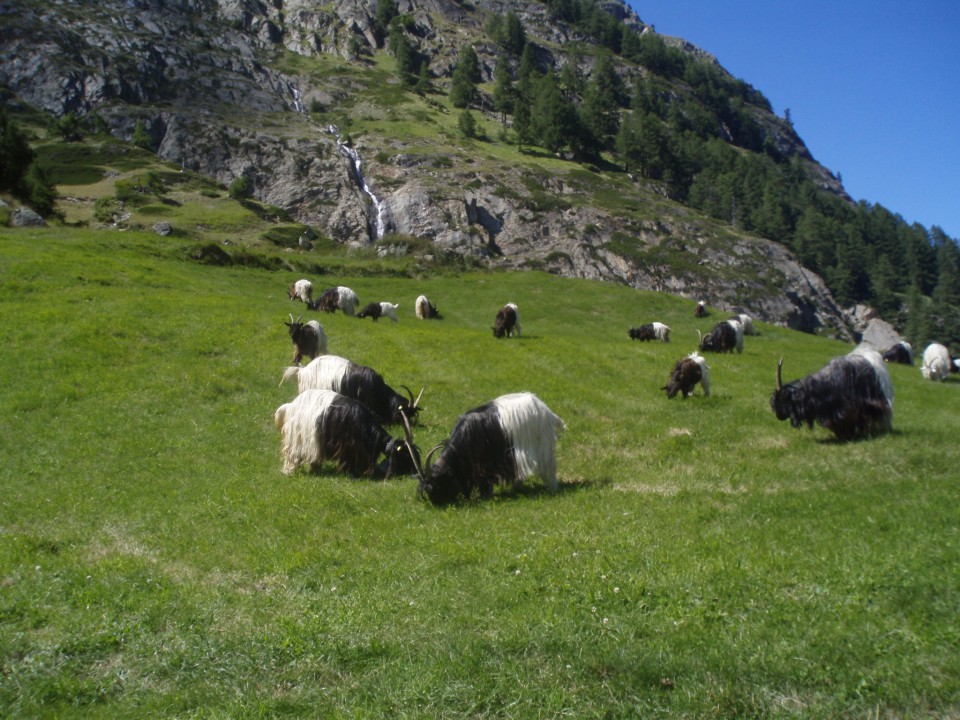 Zermatt - foto povečava