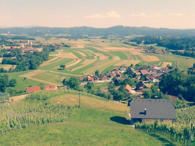 Turčija 2014 in poletje - foto