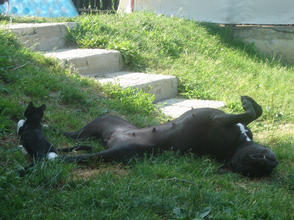 Neli - foto povečava