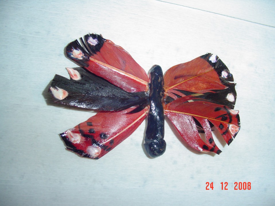 metuljček
