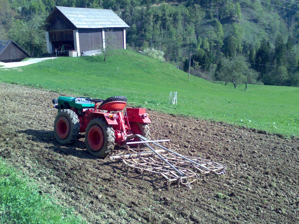 Pridelava pšenice - foto povečava