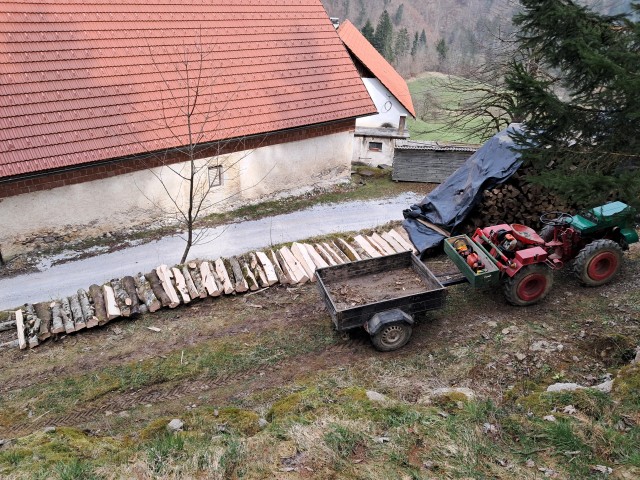 Gozdarski zgibnik - foto