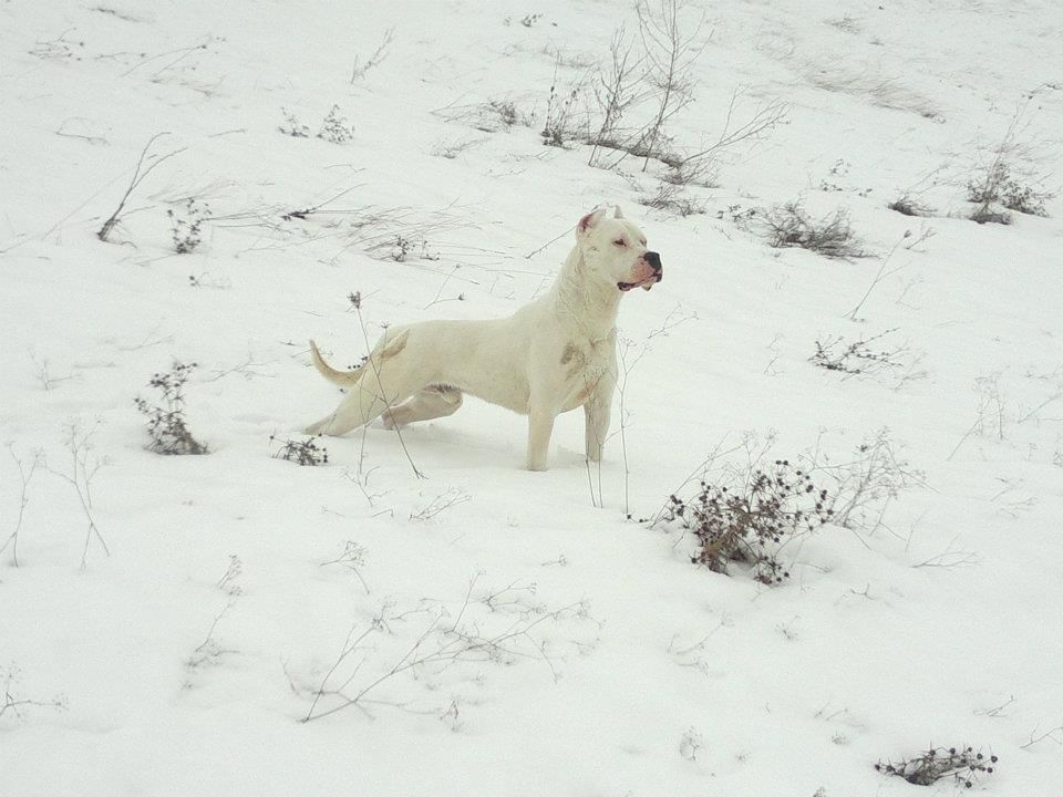 Casper - foto povečava