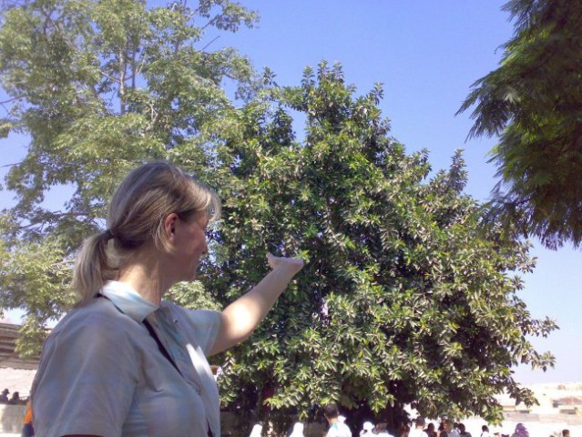 Egipt 2007 - foto