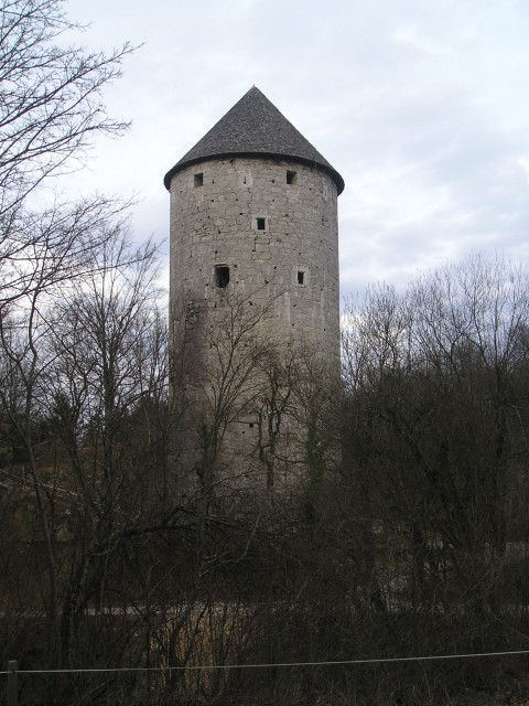 Ravbarjev stolp