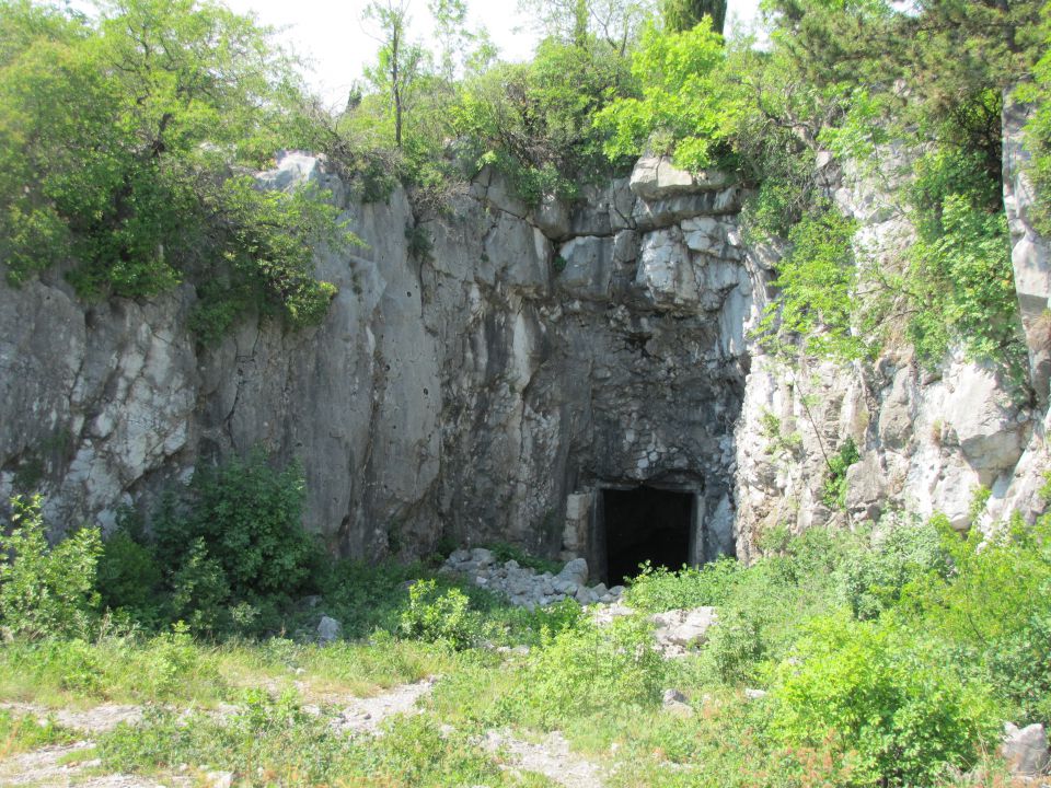 Monte San Michele-Debela griža - foto povečava