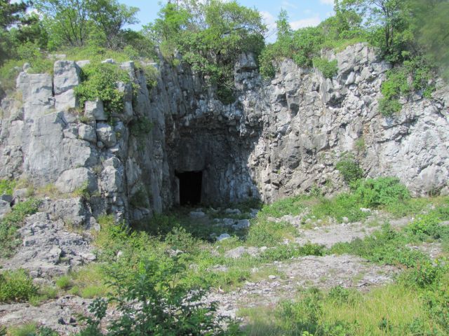 Monte San Michele-Debela griža - foto