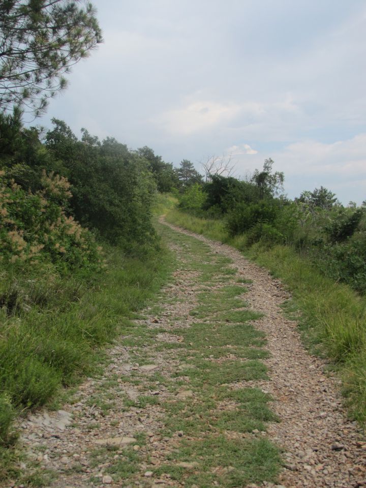 PARCO TEMATICO DELLA GRANDE GUERRA  - foto povečava