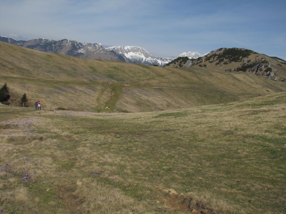 Velika planina april 2012 - foto povečava