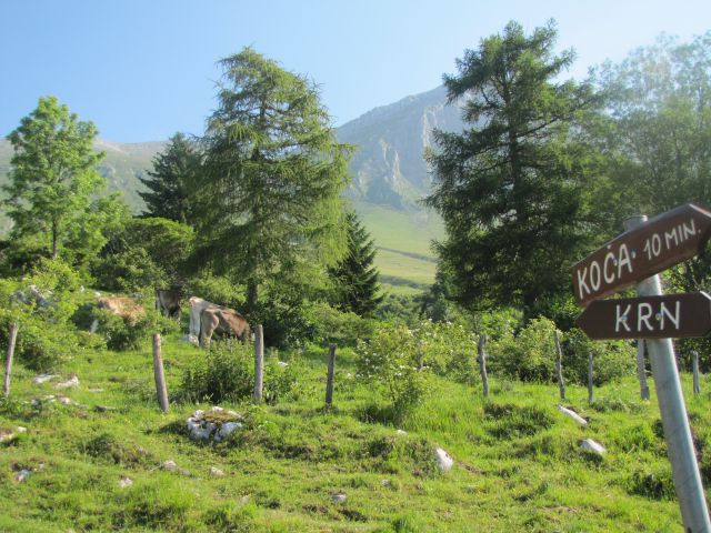 Planina Kuhinja - Krn  - foto