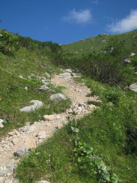 Planina Kuhinja - Krn  - foto