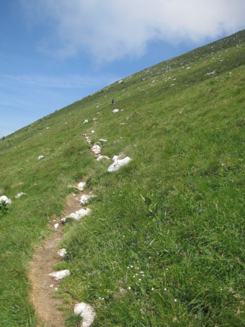 Planina Kuhinja - Krn  - foto