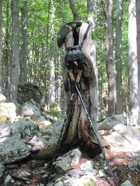   Prtovč - Krekova koča na Ratitovcu  - foto