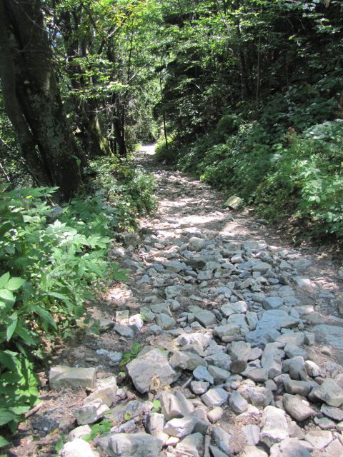   Prtovč - Krekova koča na Ratitovcu  - foto