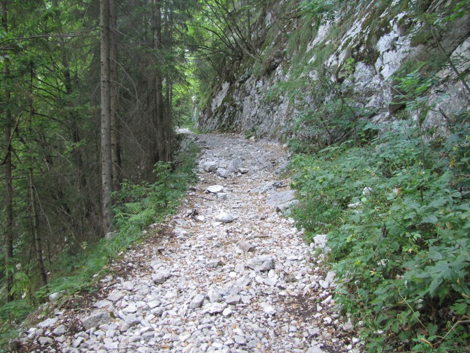 Dom v Lepeni - Krnsko jezero - foto povečava