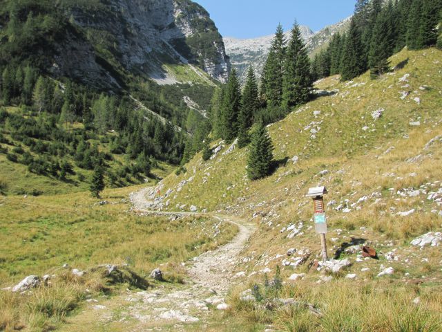 Dom v Lepeni - Krnsko jezero - foto