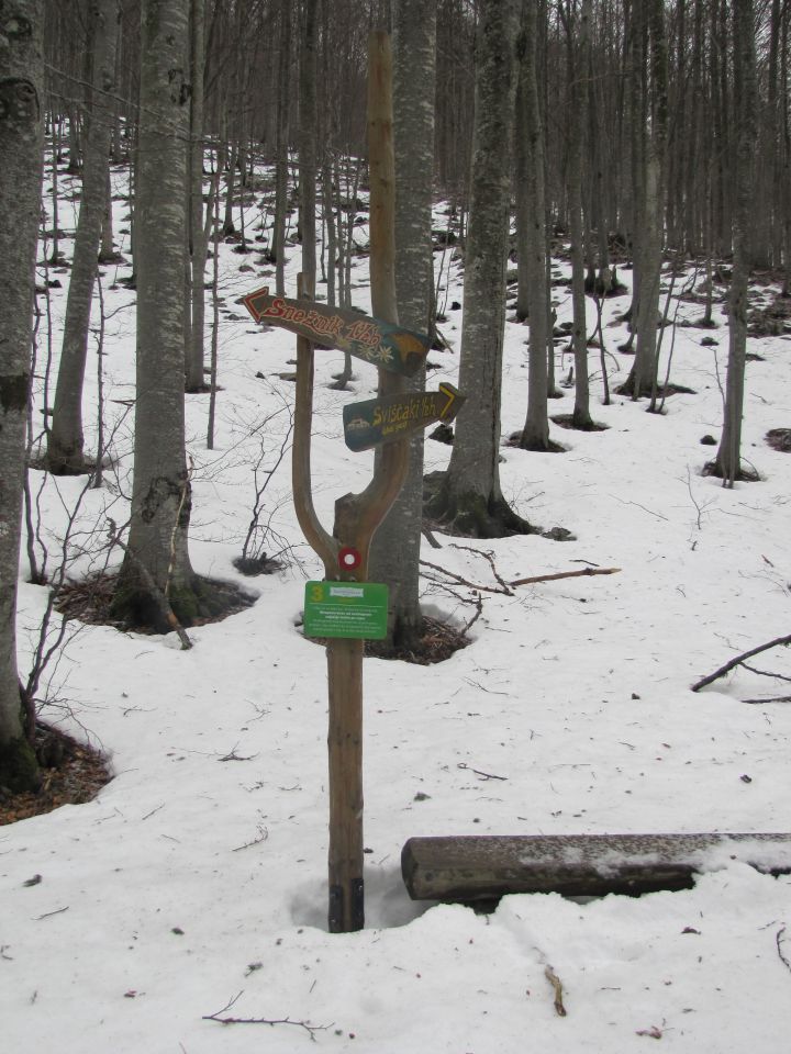  SNEŽNIK 1.796 m 28.12.2012 - foto povečava