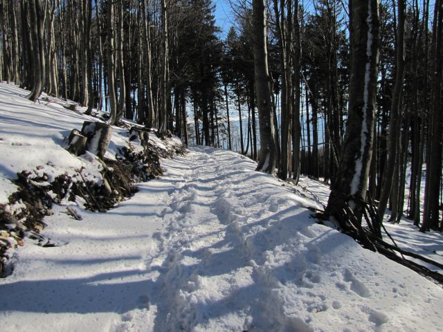 Blegoš 1562 m  30.12.2012 - foto