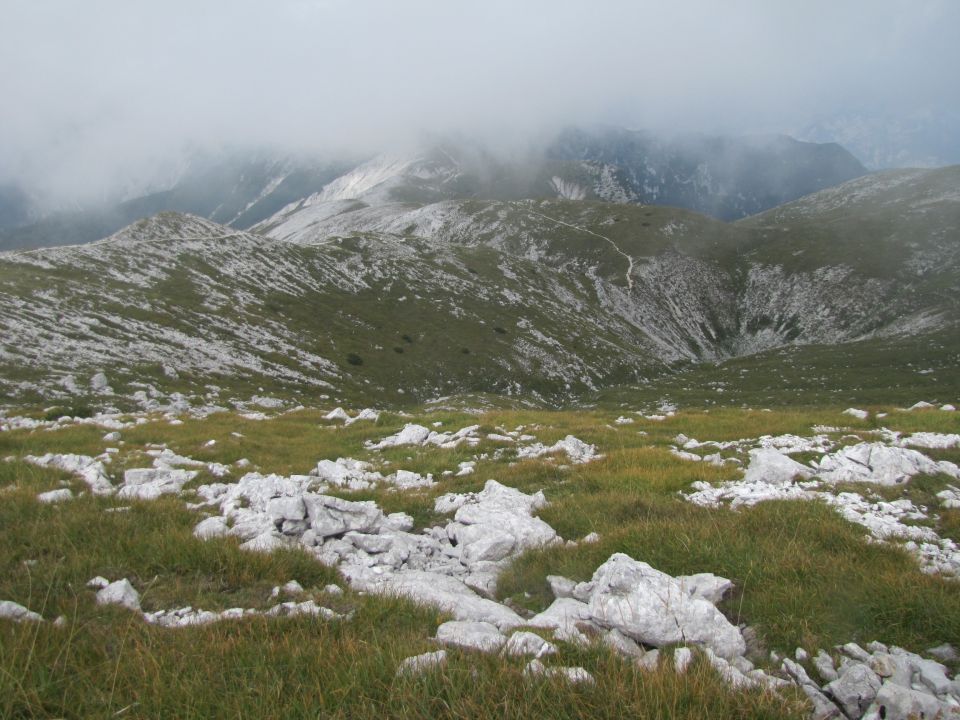 Rodica 1996 m  8.9.2013 - foto povečava