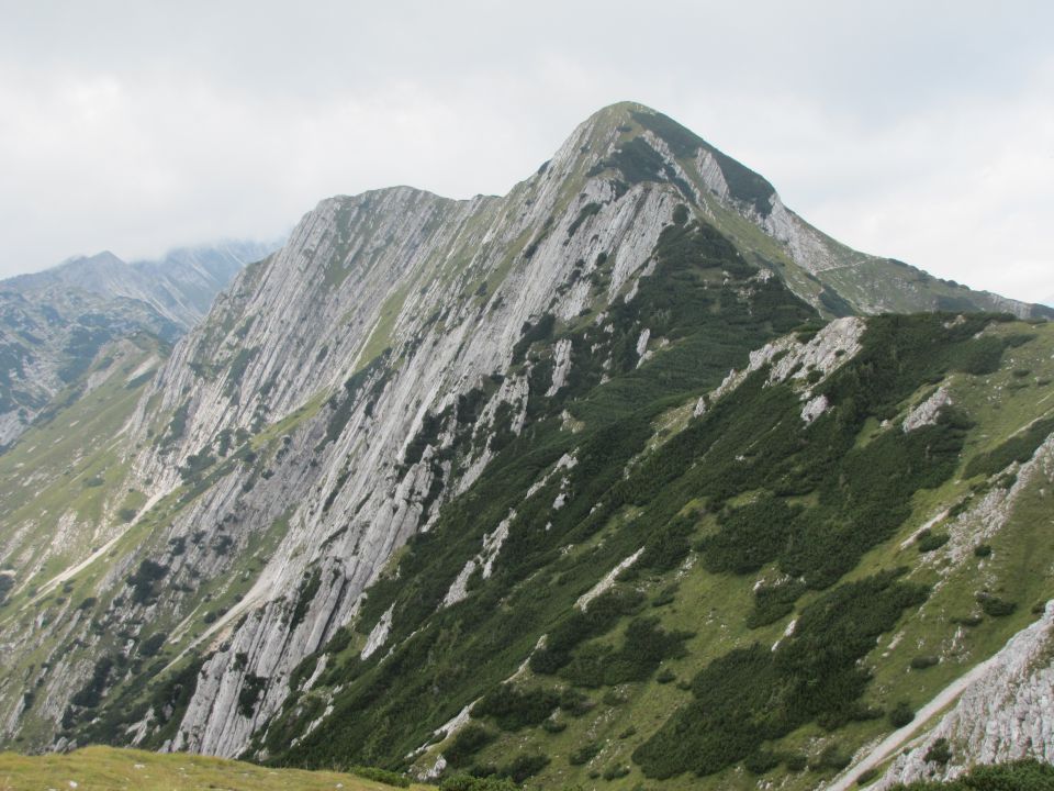 Rodica 1996 m  8.9.2013 - foto povečava