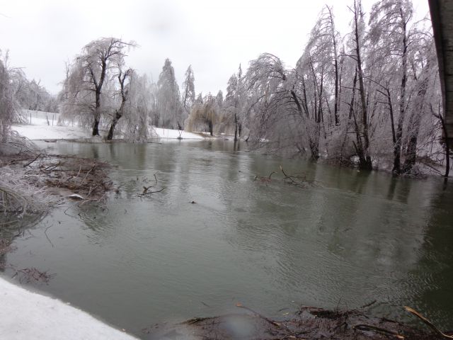 Žled v Postojni, februar 2014 - foto