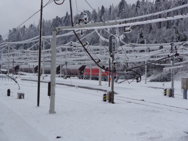 Žled v Postojni, februar 2014 - foto