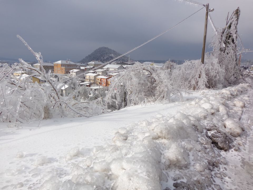 Žled v Postojni, februar 2014 - foto povečava