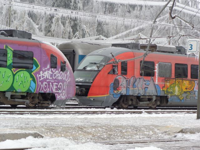 Žled v Postojni, februar 2014 - foto