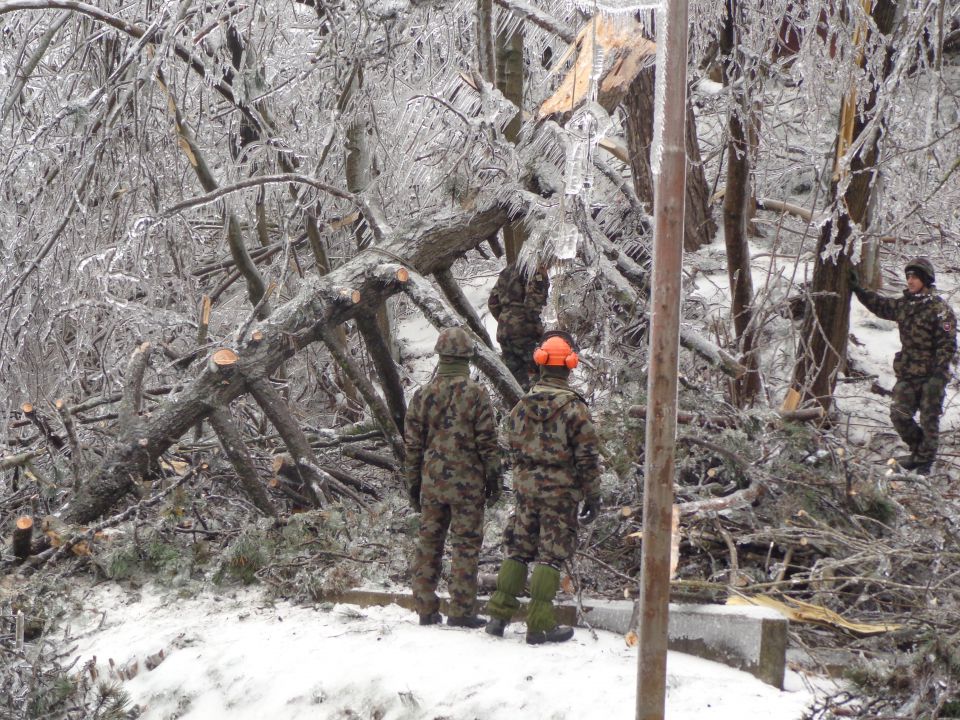 Žled v Postojni, februar 2014 - foto povečava