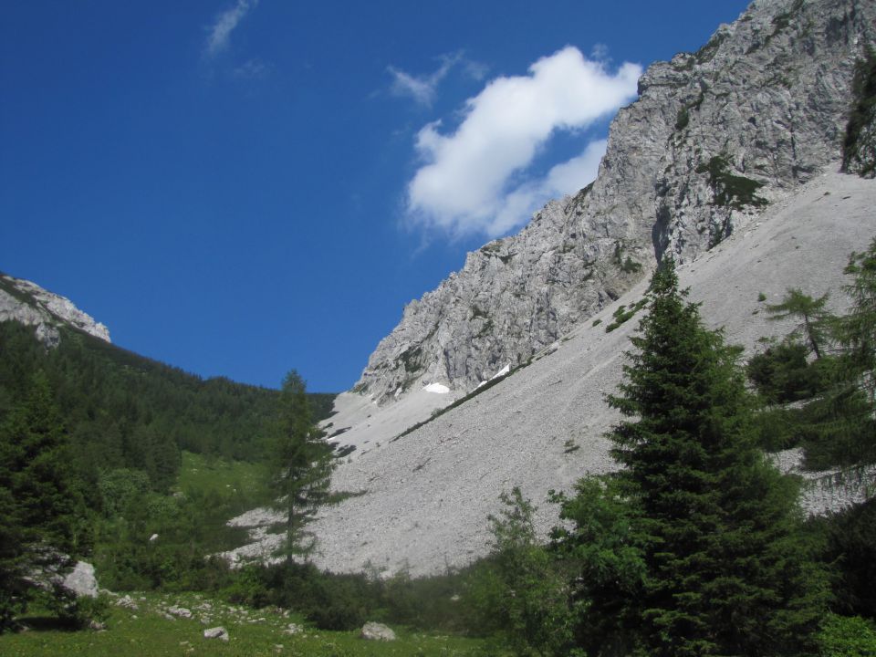 Košutica 1968 m 22.6.2014 - foto povečava