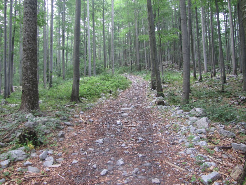 Veliki Risnjak  1528m - foto povečava