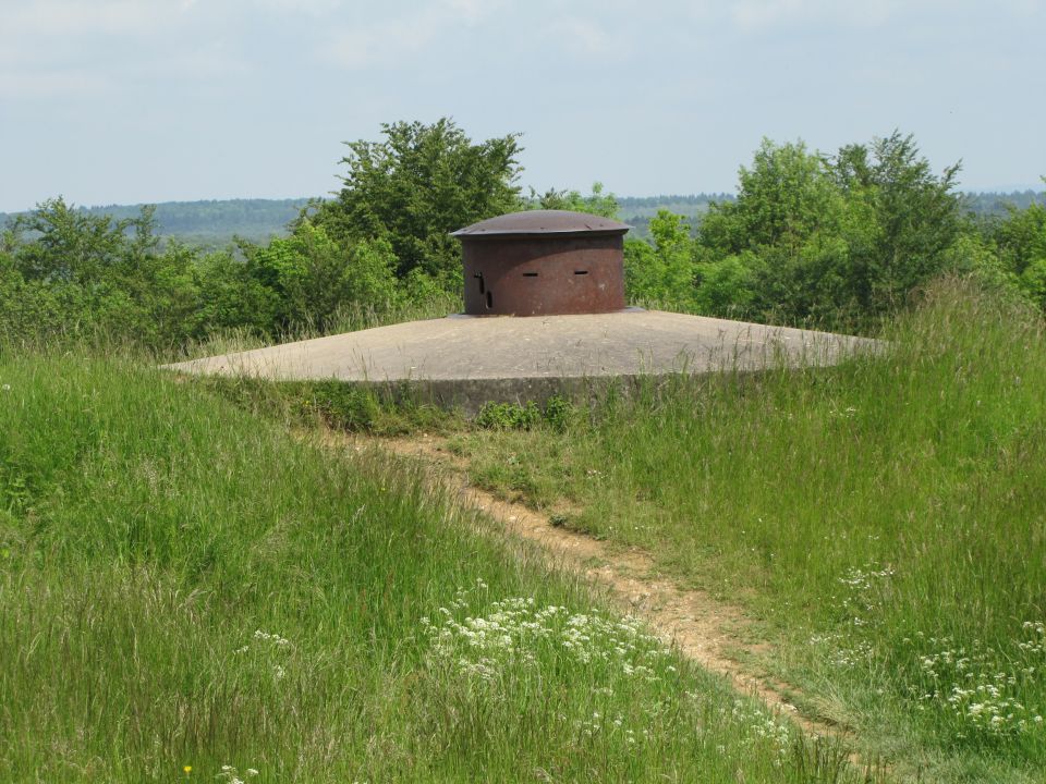 Francija - Švica maj 2016 - foto povečava