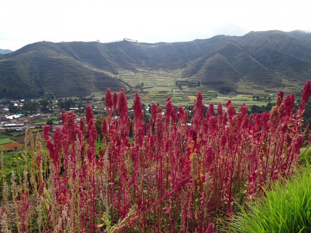 Peru 23.4-8.5.2017 - foto