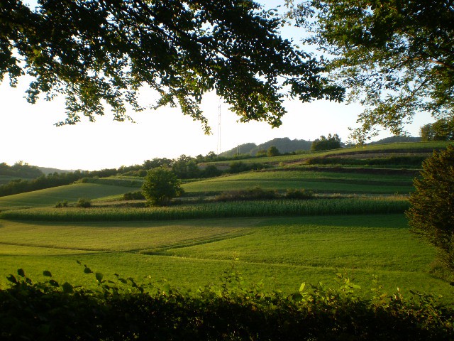 Skalnik in ribnik - foto