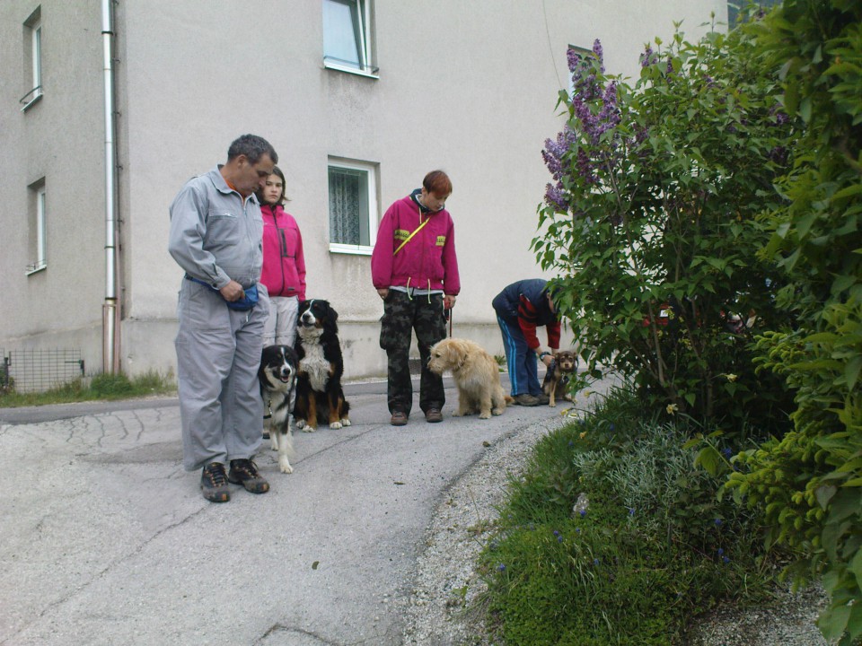 04.05.2009 - foto povečava