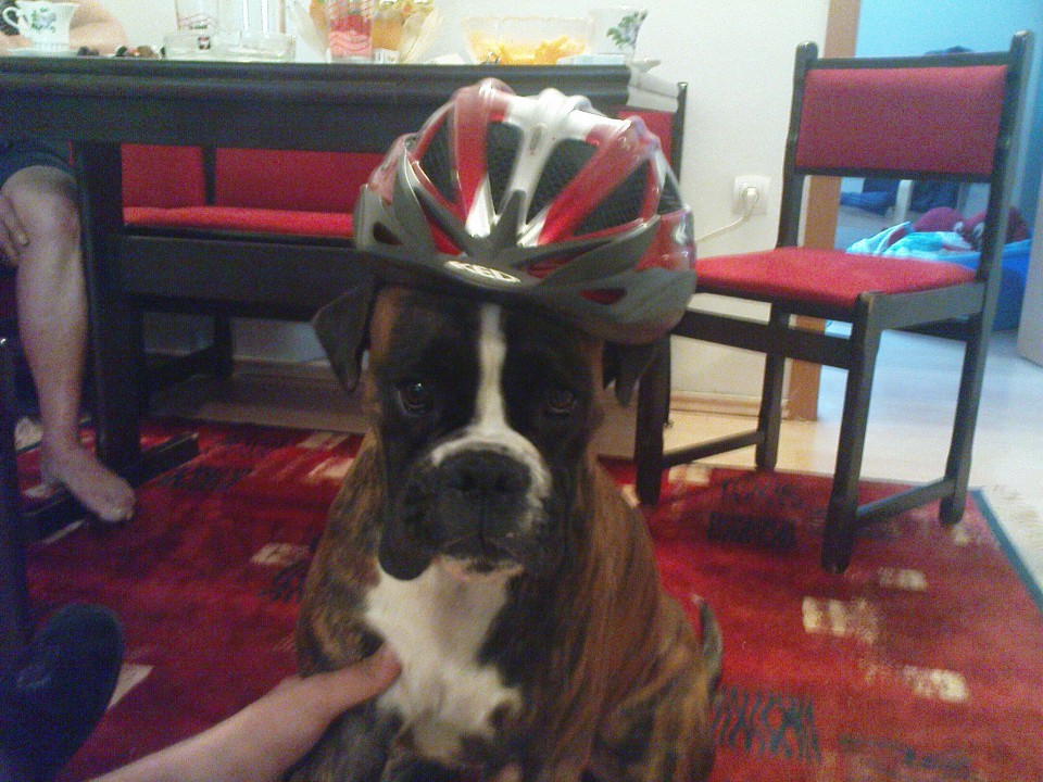 Boa kolesar - foto povečava