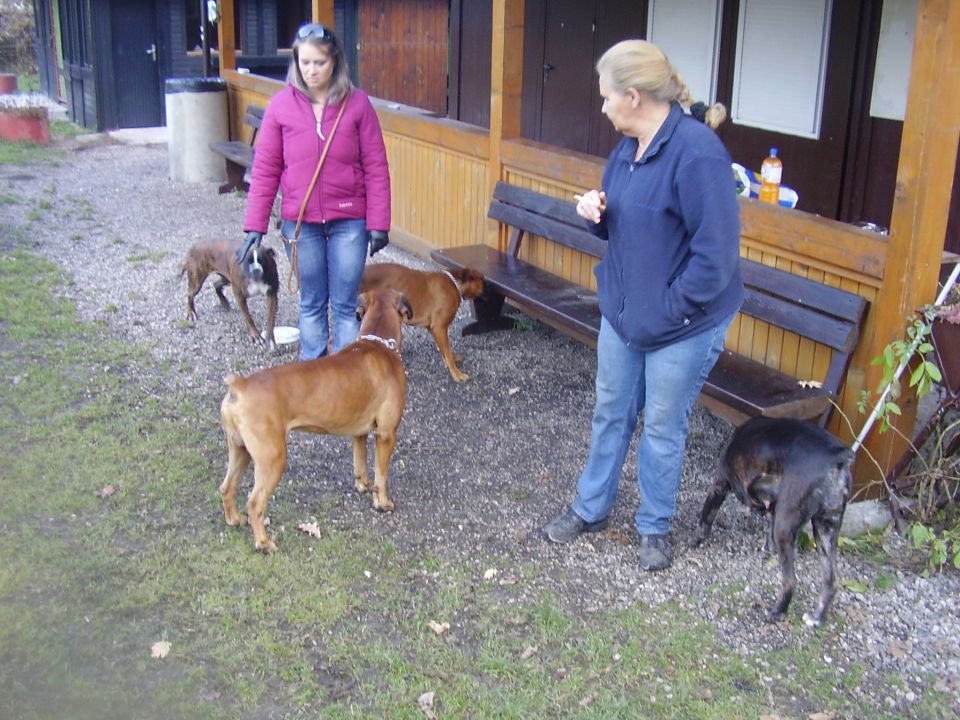 BOIN 2. ROJSTNI DAN - foto povečava