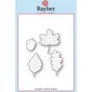 Tina Baša za Rayher - Listi in želod