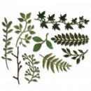 Sizzix Sizzlits Spring Greenery