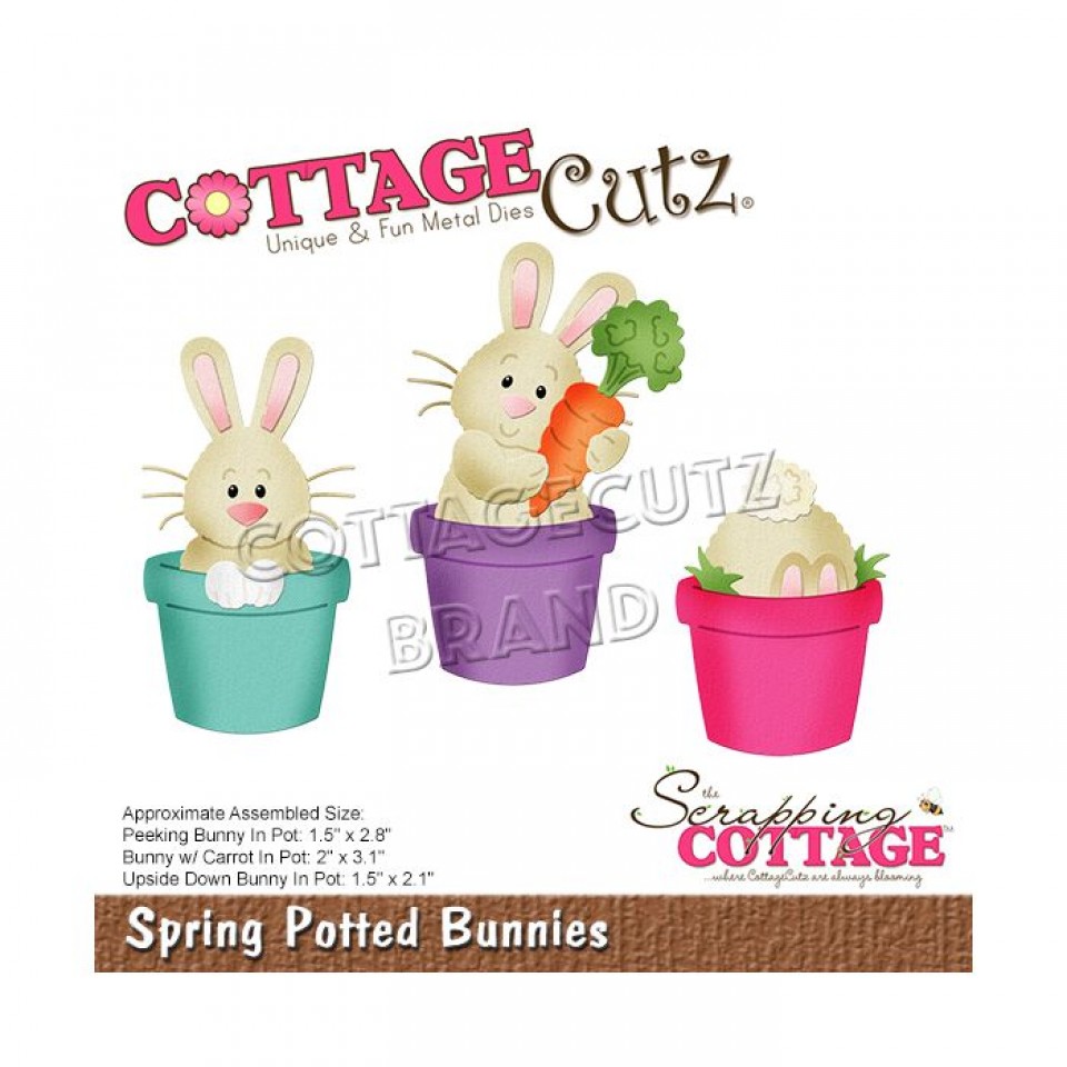 Pripomočki (izrezi, reliefi) - foto povečava