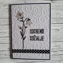 Oddana