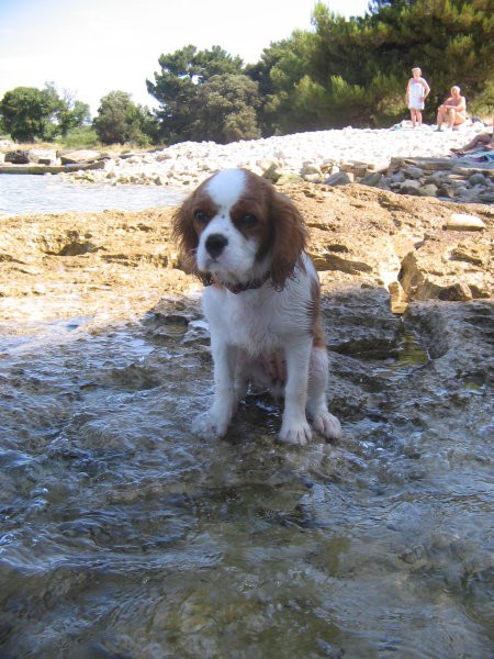 Ruby - foto povečava